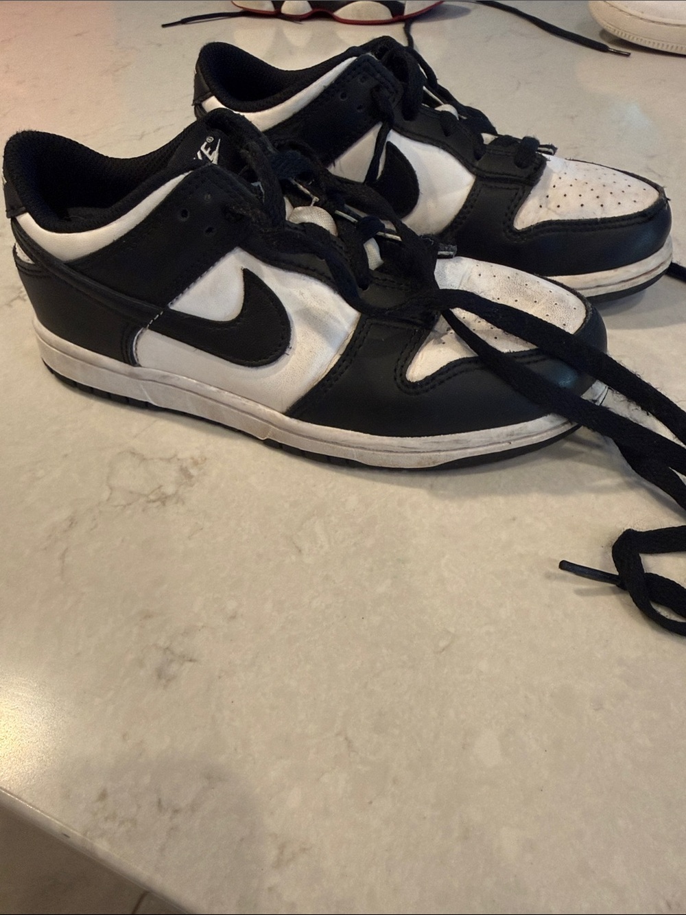 Used Nike Dunk Low Big Kids' Shoes s